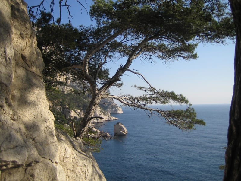 Réserve du Cap Lardier et splendeurs méditerranéennes - La Croix-Valmer