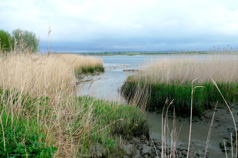 Sluizen en natuurreservaat in Tancarville, getuigen van de geschiedenis - Tancarville