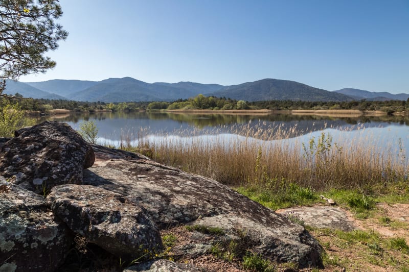 Au cœur de la Plaine des Maures et fraîcheur du lac - Le Cannet-des-Maures