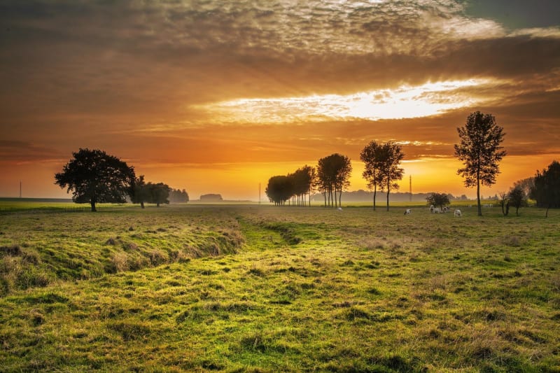 Balade sur le plateau de Ouillas et surplomber la Loire - Aurec-sur-Loire