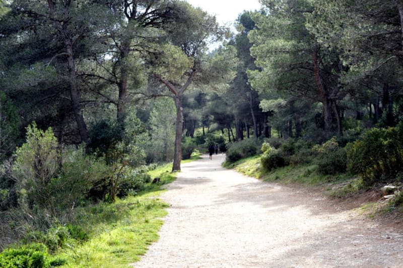 Combe des bourguignons et balade tranquille en forêt nîmoise - Marguerittes