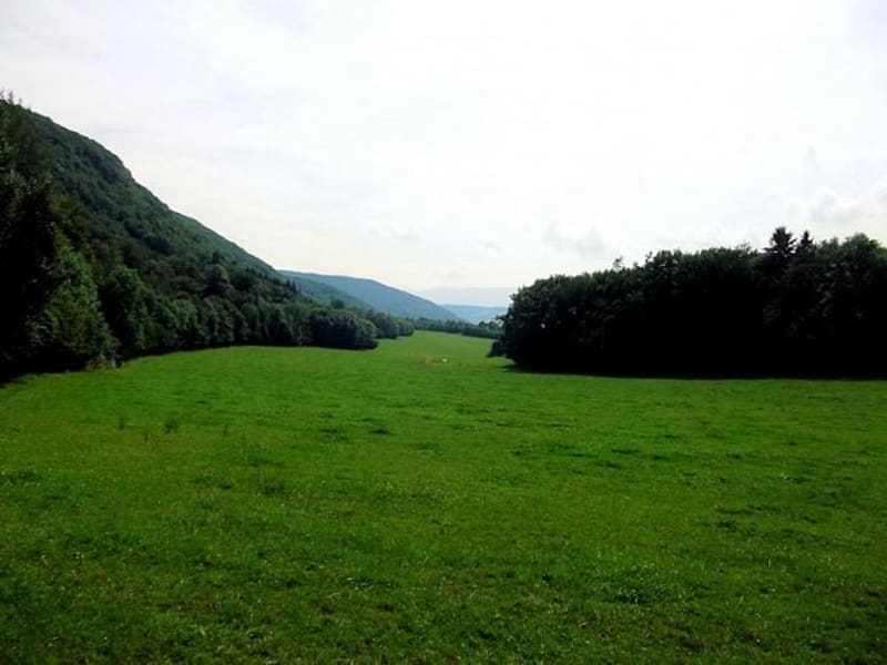 S'engouffrer dans la forêt de la Mandallaz et se ressourcer - Choisy