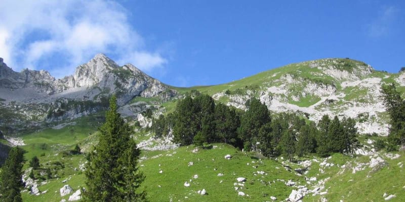 Balade verdoyante autour de Nécuidet et beauté des Bauges - La Thuile