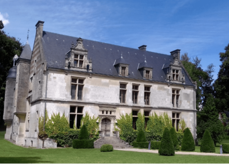Saint-Romain-de-Colbosc et conifère pluri-centenaire - Saint-Romain-de-Colbosc