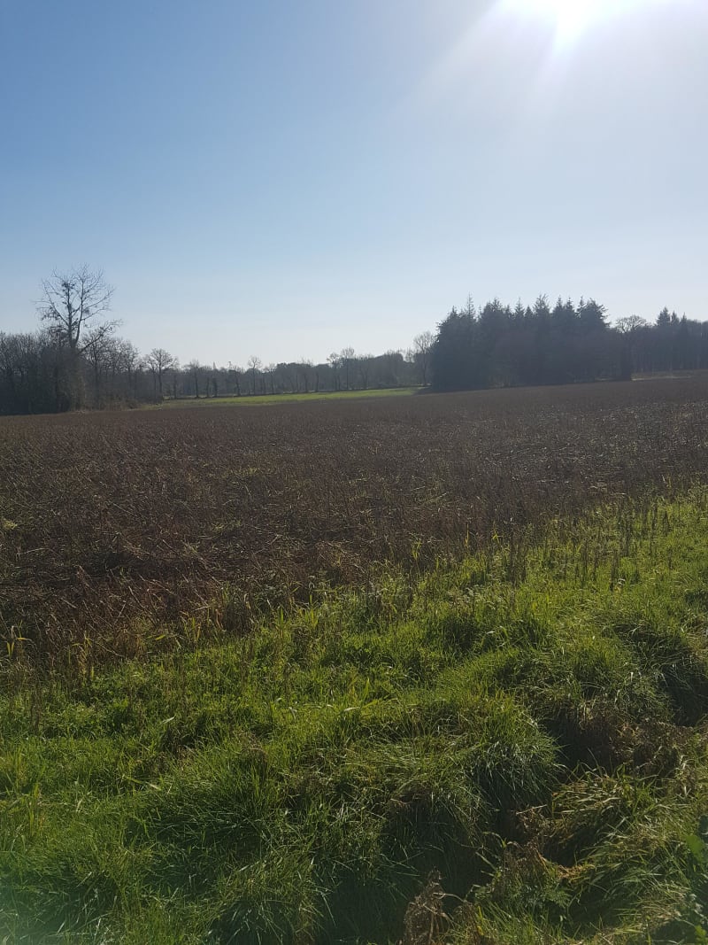 Trélivan et excursion champêtre à l'étang du Val - Trélivan