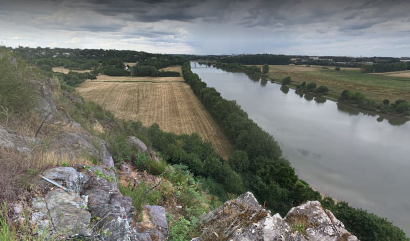 Prairies de la Baumette et colonies de cygnes - Angers