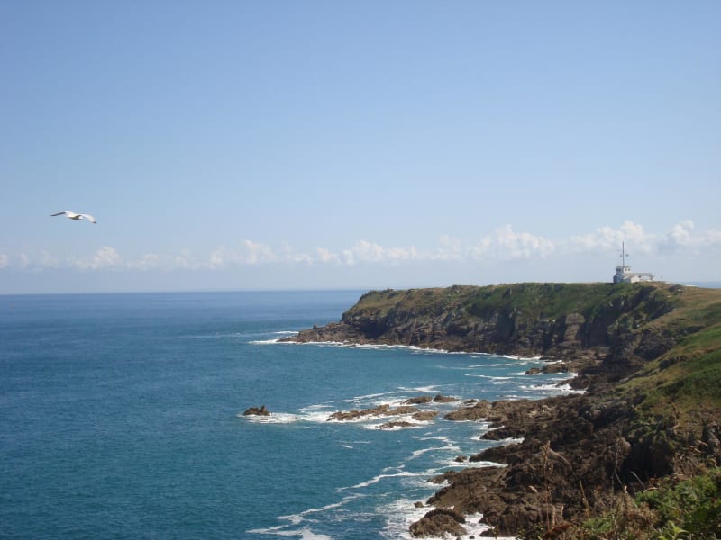 Cancale et habitants sauvages de la pointe du Grouin - Cancale