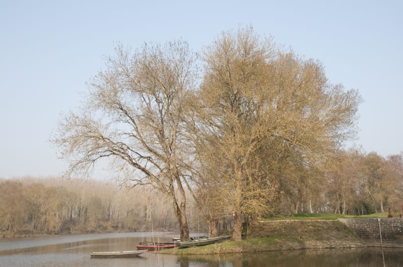 Longuenée-en-Anjou et parenthèse de douceur le long de la Mayenne - La Membrolle-sur-Longuenée