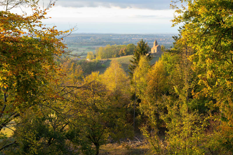 Marche en forêt de Journans et clairière des Petits Lapins - Journans