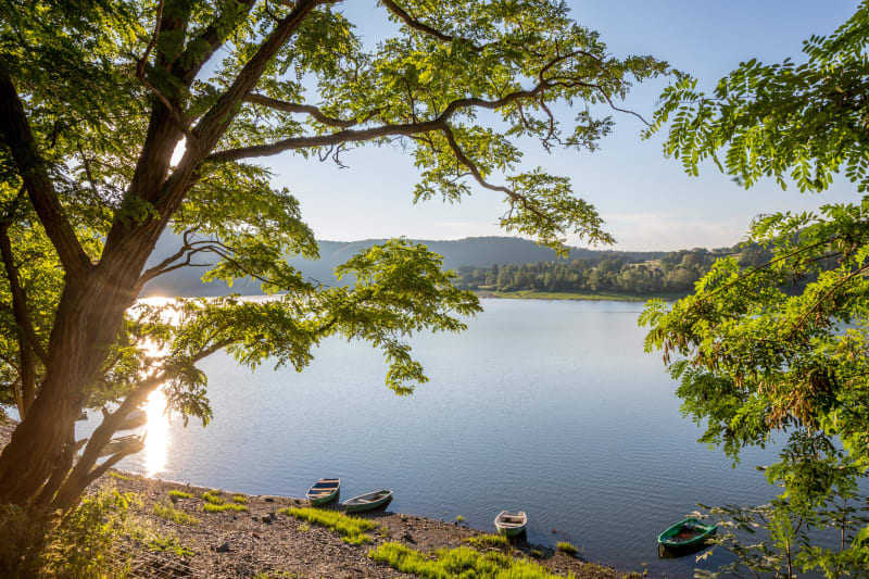 Balade sur les rives du Loir à Villevêque et paysage rural - Rives-du-Loir-en-Anjou