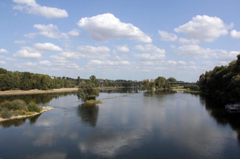 Bords de Loire et quiétude des paysages - Juigné-sur-Loire