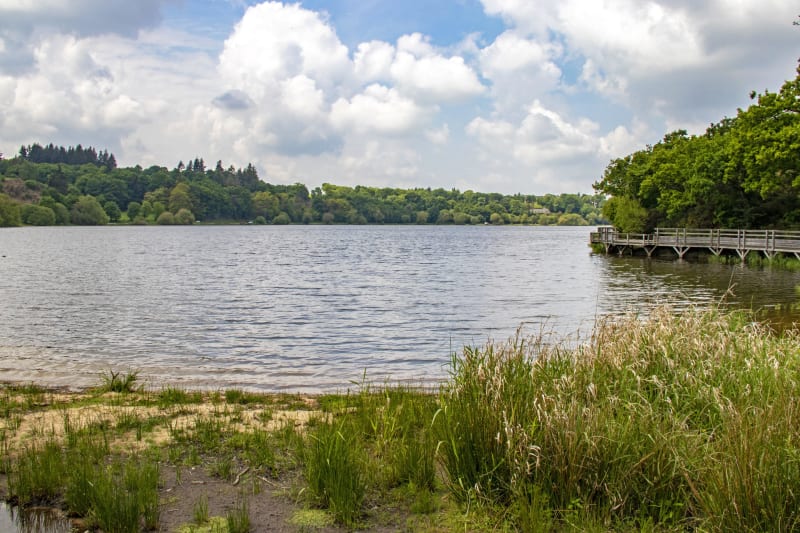 Jugon-les-lacs et balade exquise dans un cadre bucolique - Jugon-les-Lacs