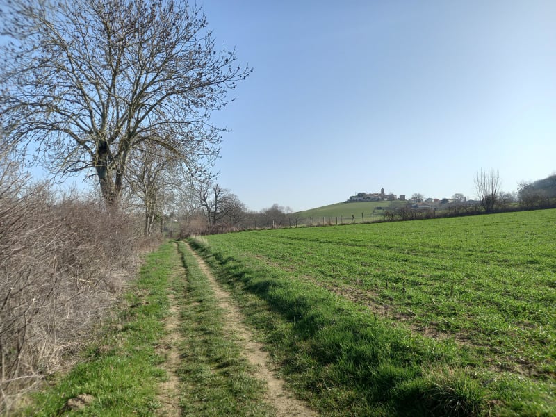Bois des Roches et vues magiques sur les Monts du Lyonnais - La Chapelle-sur-Coise