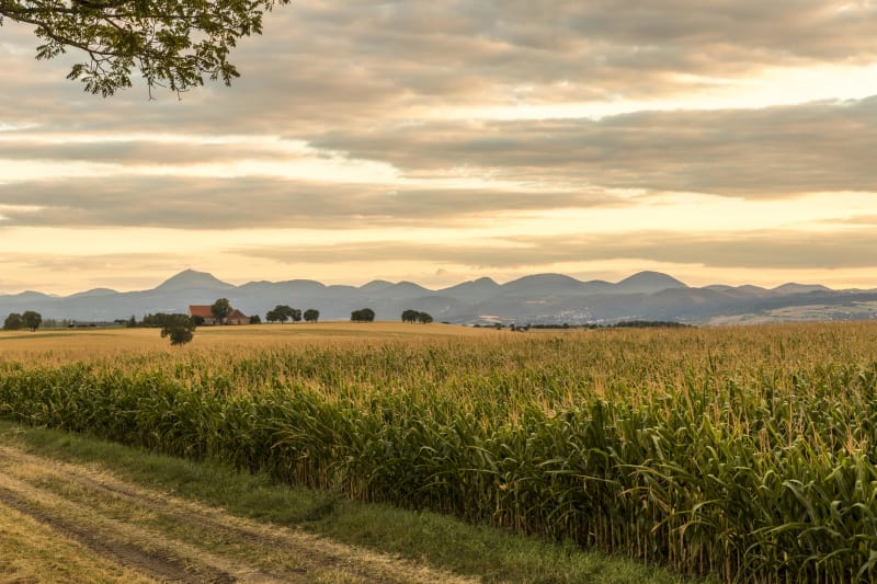 Saint-Genès-Champanelle et mise au vert sur un plateau - Nadaillat