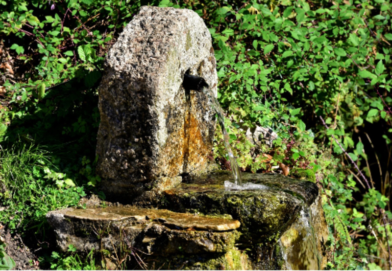 Cure de jouvence et Baise-ma-Mie à Messigny - Messigny-et-Vantoux