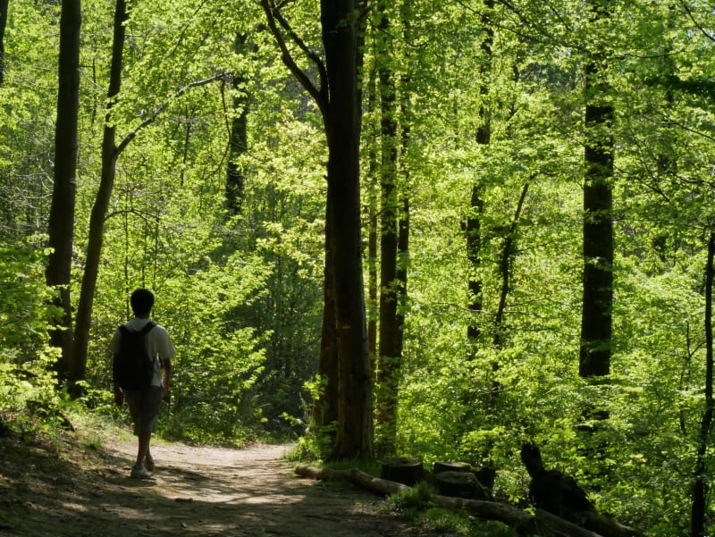 Tour des bois de Poisat et bouffée d'oxygène - Poisat
