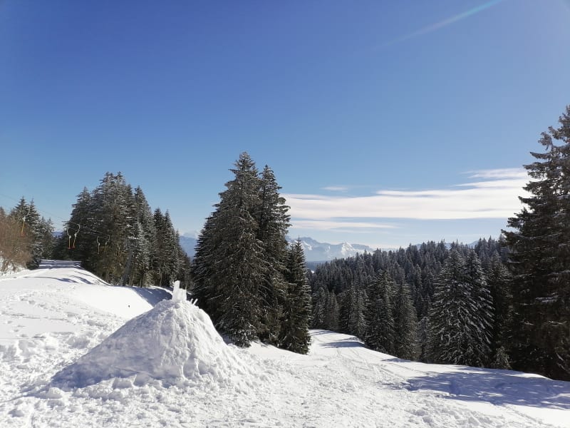 Station du Revard et expédition à travers les sapins - Montcel