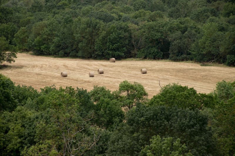Beaucouzé et sillonner la campagne à quelques mètres de la ville - Beaucouzé