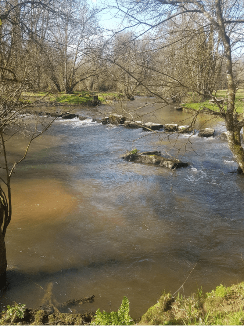 Roche au cerf et site naturel d'escalade - Langast
