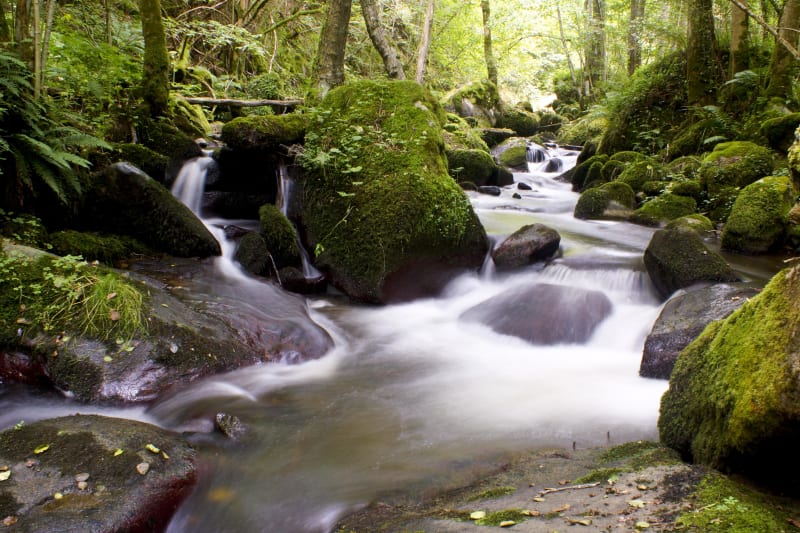 Olloix et torrent d'émotions aux gorges de la Monne - Olloix