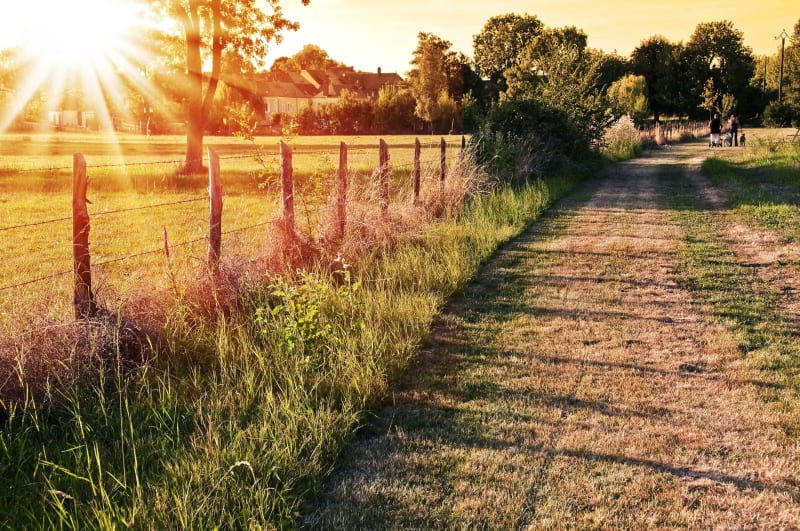 Rendez-vous en terres bocagères et virée zen dans la Sarthe - Bernay-en-Champagne