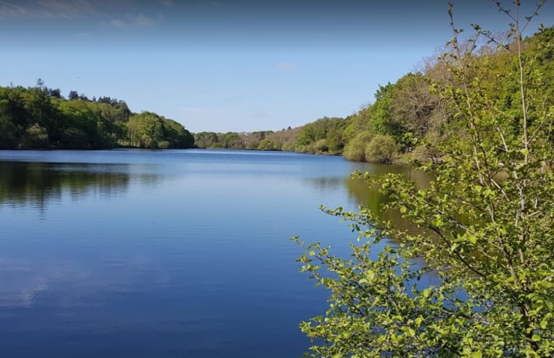 Vallée Mabile, belvédère et camaïeux de bleus et verts - Savenay