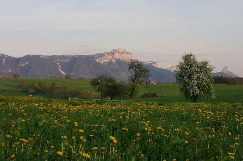 Menthonnex-en-Bornes et excursion de charme sur un plateau - Menthonnex-en-Bornes