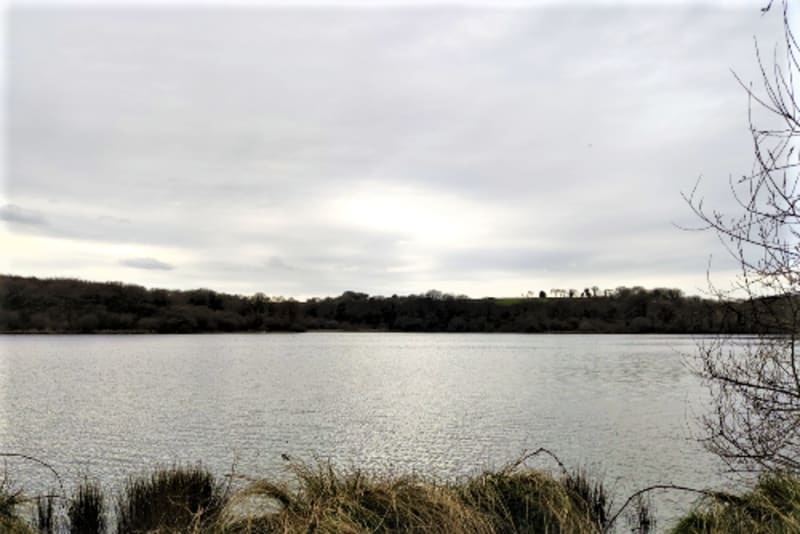 Etang de Rokleu et renaturation parfaite - Trémargat