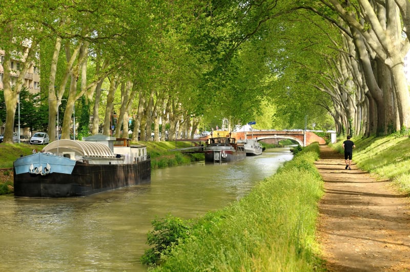 Canal du Midi et déjeuner sous les platanes - Toulouse