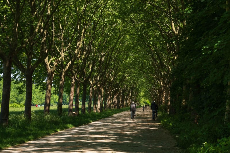 Nature en ville et bain de verdure de Paris à Versailles - Neuilly-sur-Seine