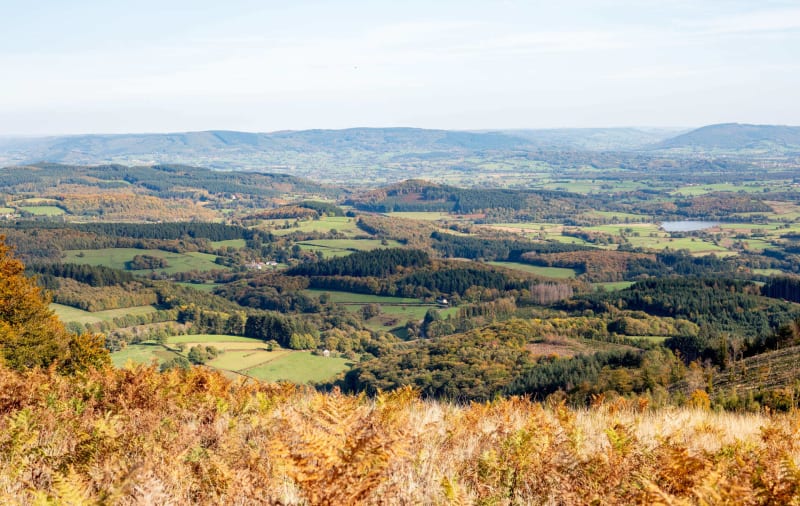 Bibracte, les trois monts et une cervoise bien fraîche - Bibracte