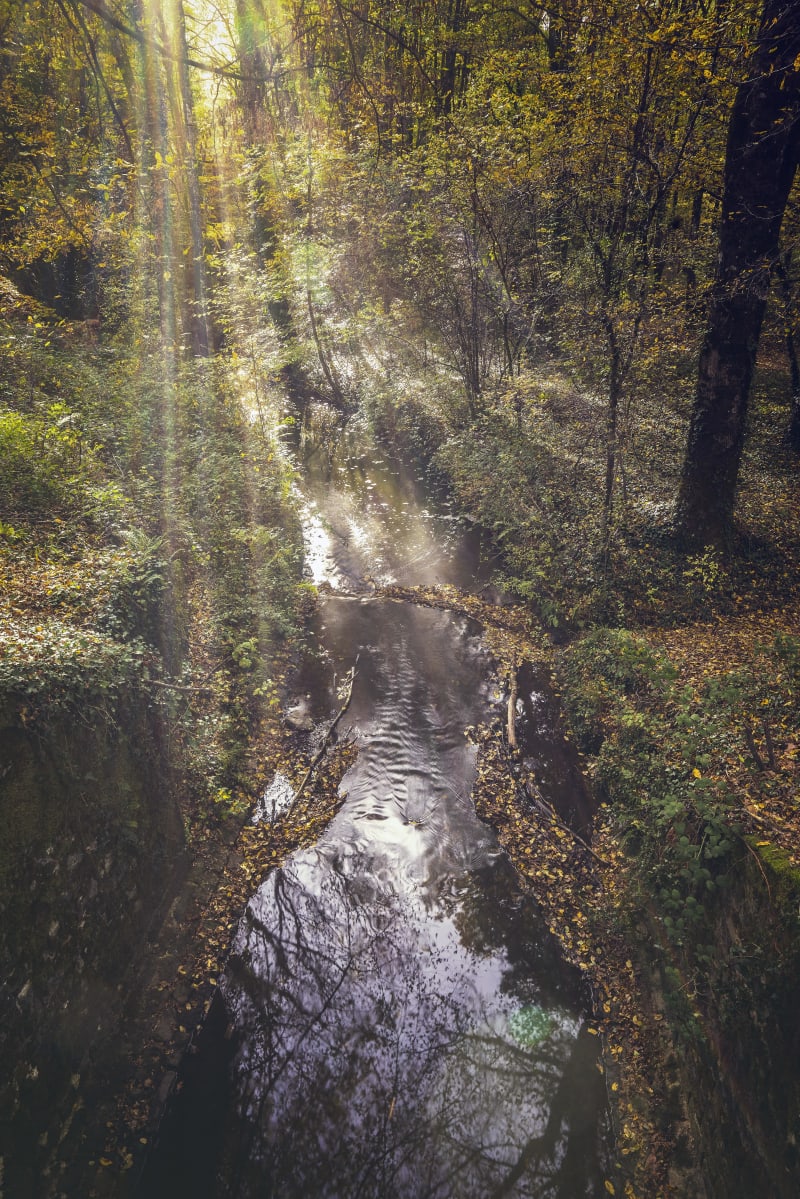 Le Gâvre en neem een heerlijk natuurbad in het hart van een betoverend bos - Le Gâvre