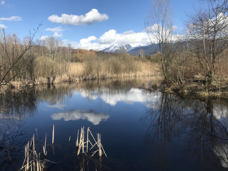 Escapade au plus près de l'étang de Haute-Jarrie - Jarrie