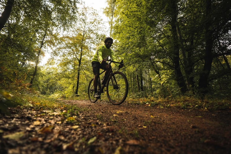 Forêt d'Halatte et escapade vivifiante dans l'Oise - Fleurines