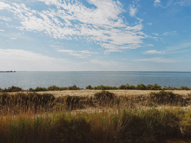 Tour de Vaccarès à vélo, la Camargue depuis les Saintes-Maries-de-la-Mer - Saintes-Maries-de-la-Mer