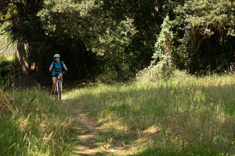 Bois des Montilles et douceur de la campagne isarienne - Cinqueux