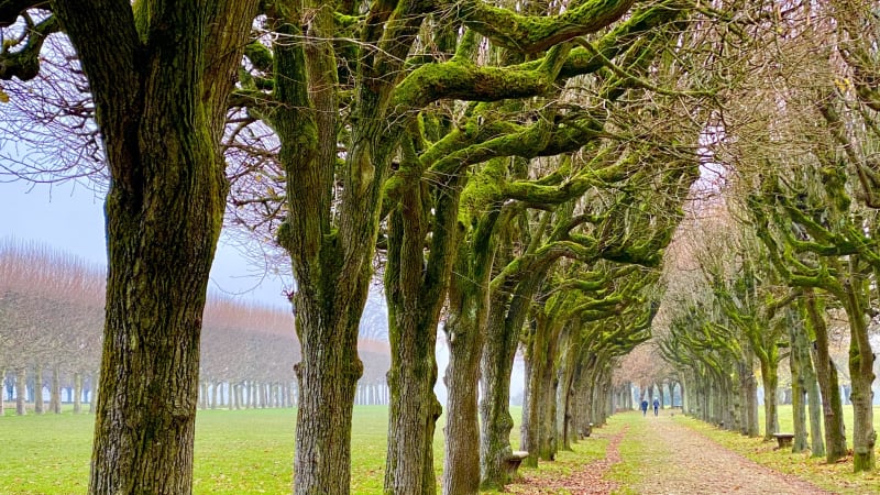 Balade à Meudon et aimer rouler en forêt - Meudon