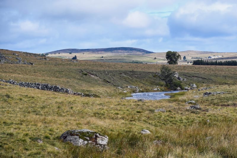 Nasbinals et cœur d'Aubrac : tourbière, cascade et vaches - Nasbinals