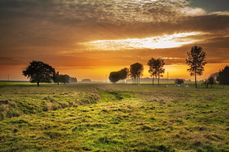 Au cœur de la vallée de Chevreuse et liberté retrouvée - Saint-Rémy-lès-Chevreuse