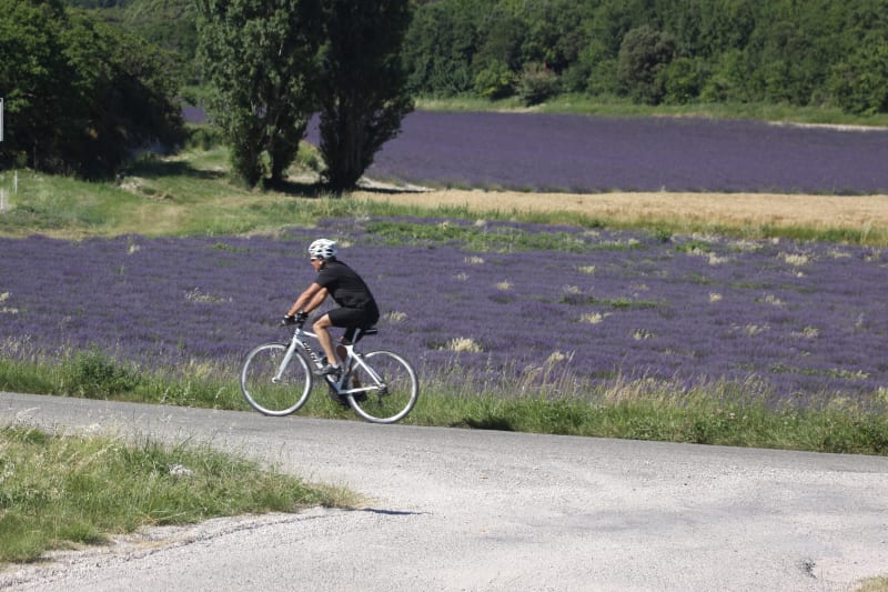 Tour de l'Enclave à vélo, velours de vigne et de lavande - Valréas