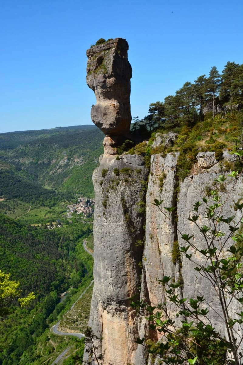 Huttopia : vase de Sèvres, vase de Chine et vautours fauves - Saint-Pierre-des-Tripiers