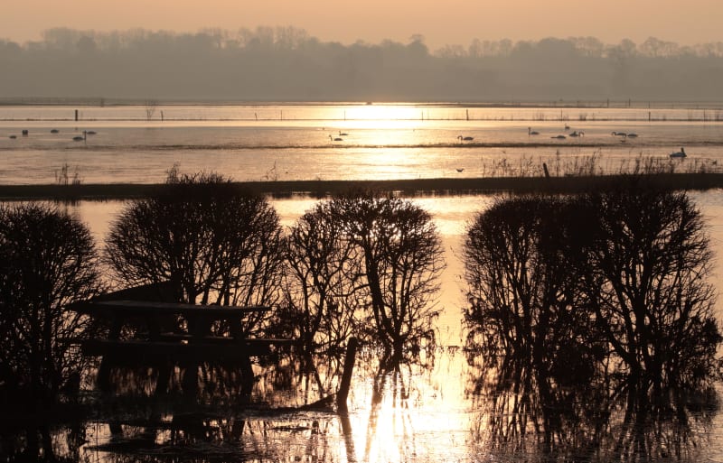 Balade entre terre et mer et vie sauvage des marais - Saint-Vaast-la-Hougue