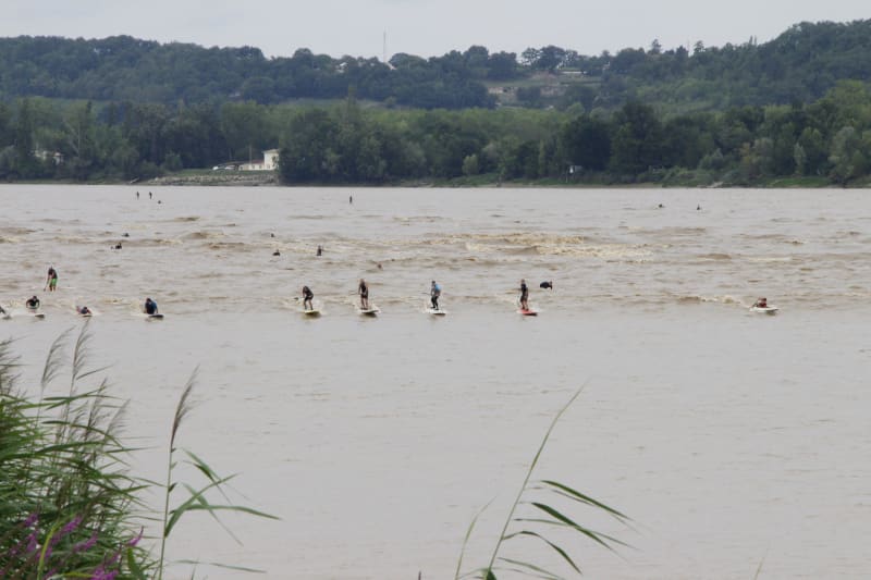 Estuaire de la Gironde et spectacle du mascaret - Saint-Loubès