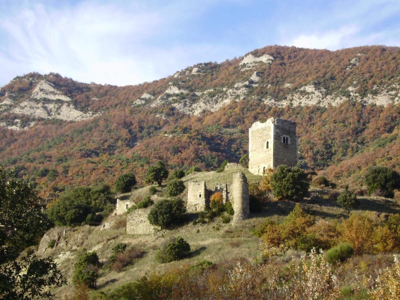 Vallée du Lez et être tout sourire dans un champ de lavandin - Roche-Saint-Secret-Béconne