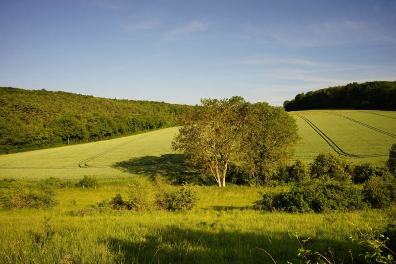 Maak een rondrit rond het Gastmeer en zijn betoverde bos - Noues-de-Sienne