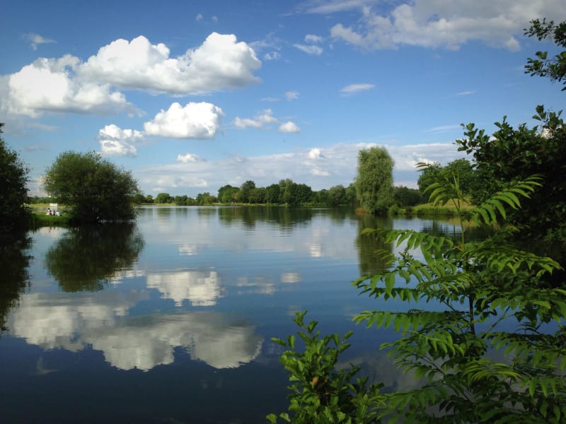 Saint-Jacques-de-la-Lande et planer au canal de Cicé - Saint-Jacques-de-la-Lande
