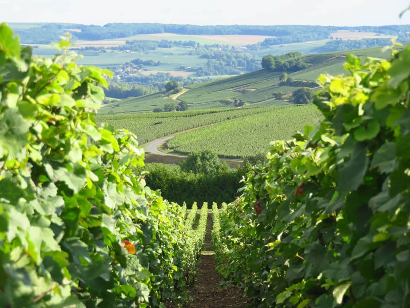 Vallée de la Marne et panorama du Mont de Bonneil - Nogent-l'Artaud