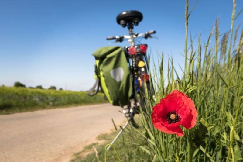 Virée dans la vallée de la Morelle et charme de Honfleur - Pont-L'Evêque