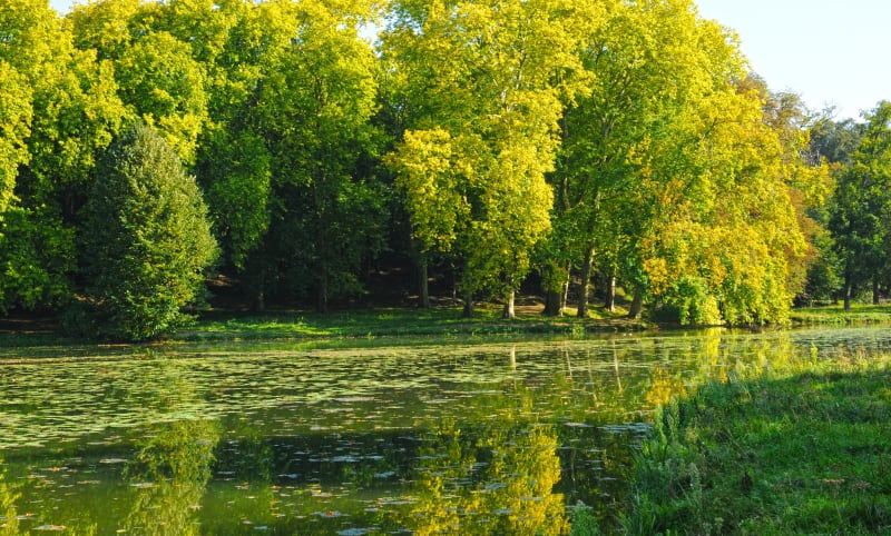 Ermenonville, sacré bain de culture et de nature - Ermenonville