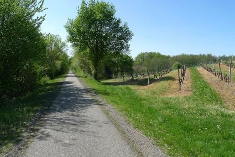 Créon, un joli parcours vélo entre vignes et plateaux - Créon